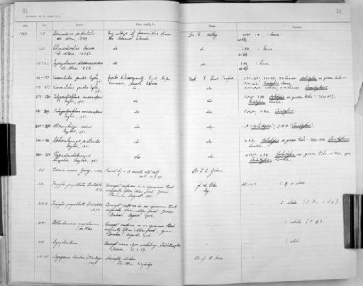 Ascaris suum Goeze, 1782 - Zoology Accessions Register: Aschelminth N3: 1954 - 1977: page 21
