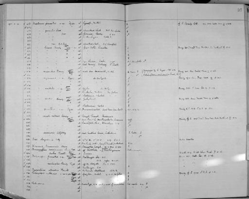 Dias longiremis Lilljeborg, 1853 - Zoology Accessions Register: Crustacea (Entomostraca): 1938 - 1963: page 95