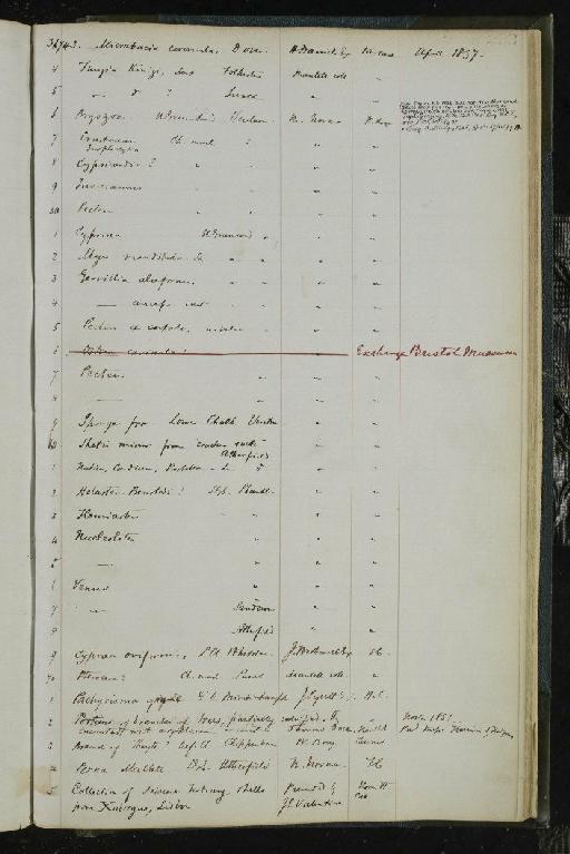 Rangifer tarandus Linnaeus, 1758 - NHM-UK_P_DF118_02_01_0447