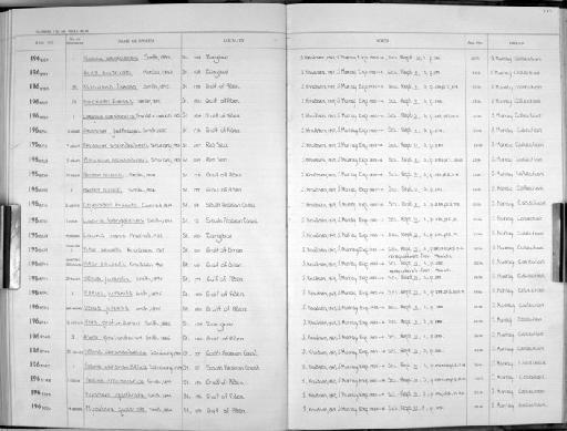 Pecten alcocki E. A. Smith, 1904 - Zoology Accessions Register: Mollusca: 1962 - 1969: page 237