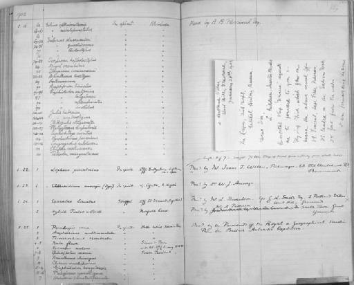 Muraena punctatofasciatus - Zoology Accessions Register: Reptiles & Fishes: 1893 - 1903: page 309