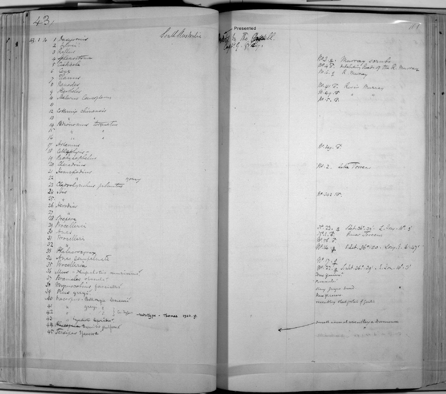 Zoology Accessions Register: Mammals: 1841 - 1844: page 101