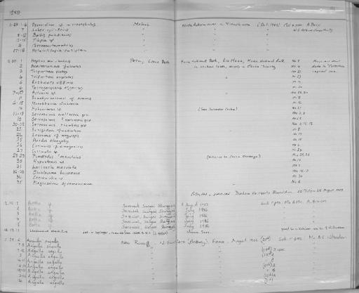 Loricariichthys platymetopon Isbrücker & Nijssen, 1979 - Zoology Accessions Register: Fishes: 1986 - 1994: page 91