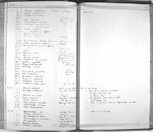 Acentrogobius koumansi Norman, 1935 - Zoology Accessions Register: Fishes: 1912 - 1936: page 325