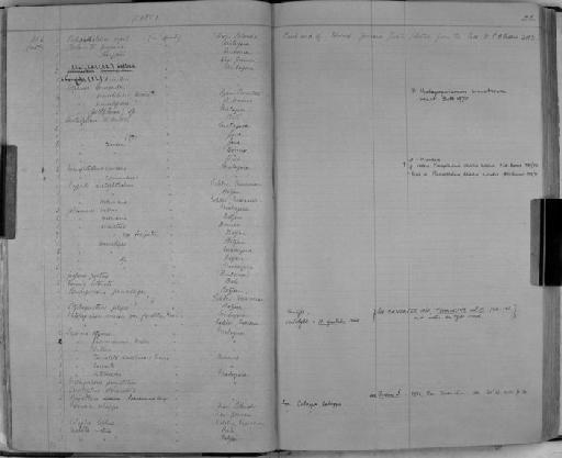 Paratelphusa tridentata subsection Heterotremata section Eubrachyura - Zoology Accessions Register: Crustacea: 1876 - 1905: page 26