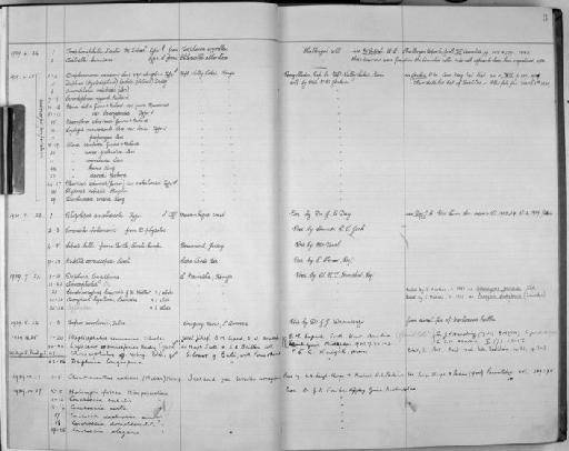 Conchoecia daphnoides minor - Zoology Accessions Register: Crustacea (Entomostraca): 1938 - 1963: page 3