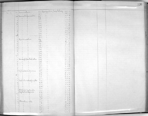 Telophorus zeylonus zeyonus - Zoology Accessions Register: Aves (Skins): 1902 - 1904: page 120