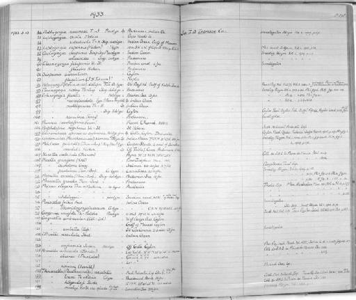 Thouarella moseleyi Wright & Studer, 1889 - Zoology Accessions Register: Coelenterata & Anthozoa: 1884 - 1934: page 240