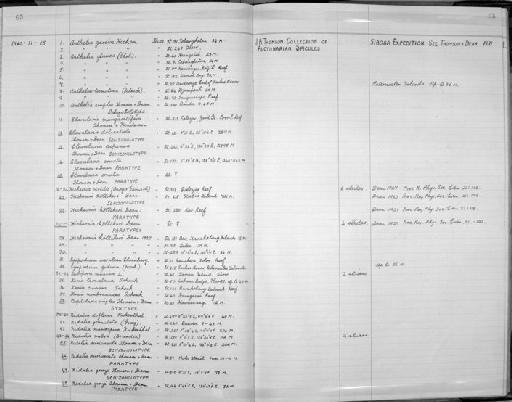 Nidalia duriuscula Thomson & Dean, 1931 - Zoology Accessions Register: Coelenterata: 1958 - 1964: page 65