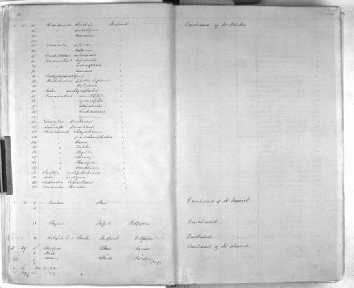 Stethojulis kalosoma - Zoology Accessions Register: Mammals: 1861 - 1890: page 26