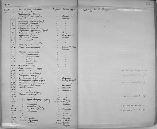 Muraena prasina Richardson, 1848 - Zoology Accessions Register: Reptiles & Fishes: 1904 - 1925: page 84