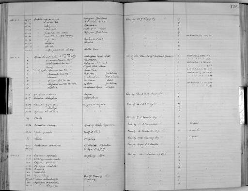 Gulella orientalis subterclass Tectipleura Connolly, 1929 - Zoology Accessions Register: Mollusca: 1925 - 1937: page 126