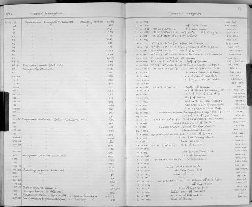 Gonostoma elongatum Günther, 1878 - Zoology Accessions Register: Fishes: 1986 - 1994: page 54