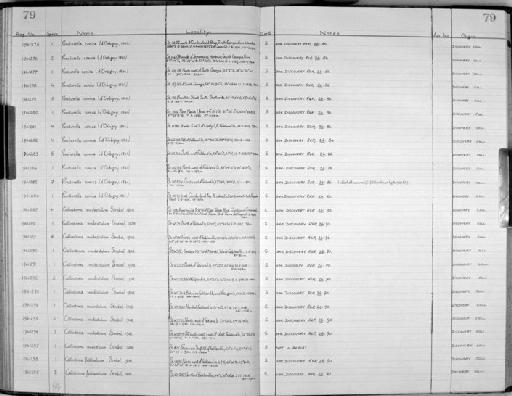 Puncturella conica (d'Orbigny, 1841) - Zoology Accessions Register: Mollusca: 1956 - 1978: page 79