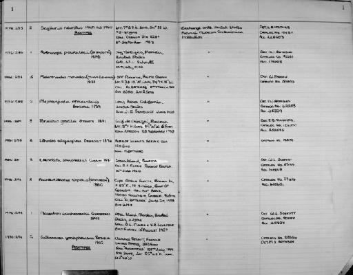 Scyllarus nearctus Holthuis, 1960 - Zoology Accessions Register: Crustacea: 1976 - 1984: page 1