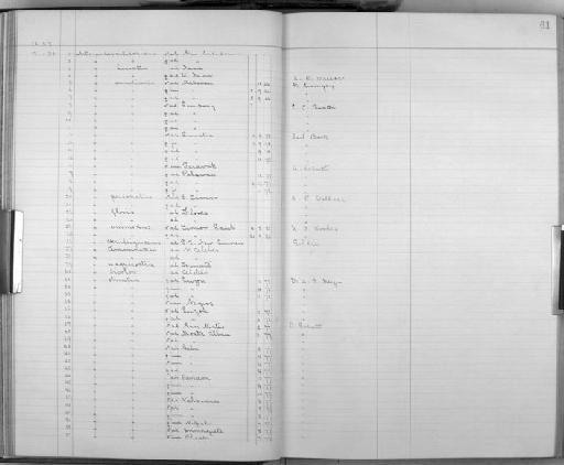 Coracina striata cebuensis (Ogilvie-Grant, 1896) - Bird Group Collector's Register: Aves - Tweedale Collection: 1887 - 1892: page 61