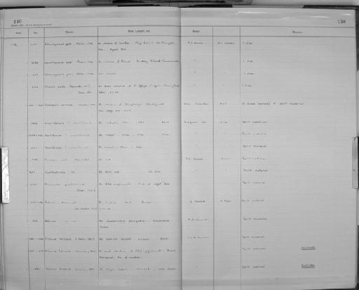 Molineus felineus Cameron, 1923 - Zoology Accessions Register: Aschelminth N4: 1977 - 1989: page 140