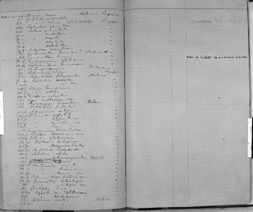 rubromarginatus subsection Heterotremata section Eubrachyura - Zoology Accessions Register: Crustacea: 1876 - 1905: page 197