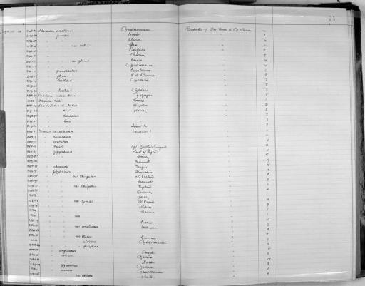 Trochus zizyphinus laevigatus - Zoology Accessions Register: Mollusca: 1911 - 1924: page 24