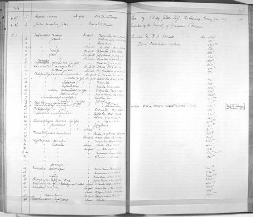 Xenoceratias heterorhynchus Regan & Trewavas, 1932 - Zoology Accessions Register: Fishes: 1912 - 1936: page 248