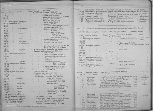 Iguanodectes spilurus (Günther, 1864) - Zoology Accessions Register: Fishes: 1971 - 1985: page 76