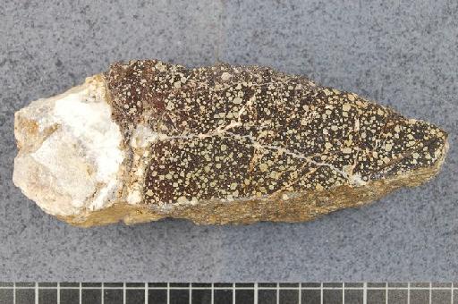 Silicified wallrock - OR.935, Silicified wallrock, Emperor, Tavua Goldfield, Fiji