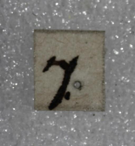 Trigona tataira Smith, F., 1863 - Trigona_tataira-BMNH(E)968237- label2-0.8x