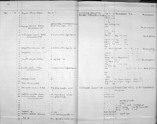 Spongioderma verrucosum (Morbius, 1861) - Zoology Accessions Register: Coelenterata: 1958 - 1964: page 92