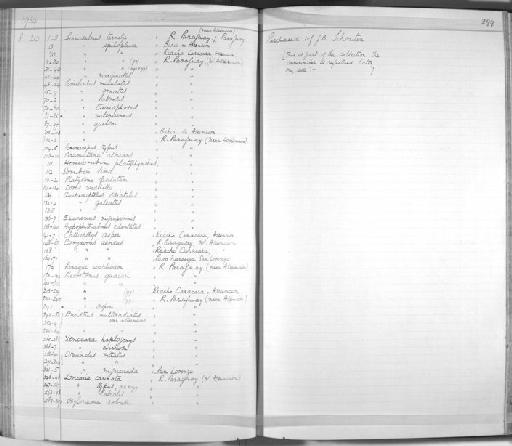 Ancistrus sp - Zoology Accessions Register: Fishes: 1912 - 1936: page 299