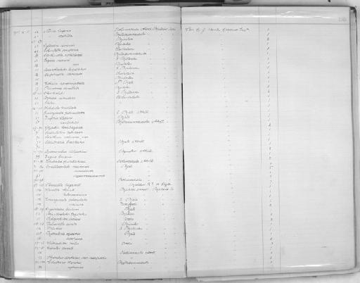 Coralliophila neritoides (Lamarck, 1816) - Zoology Accessions Register: Mollusca: 1900 - 1905: page 132