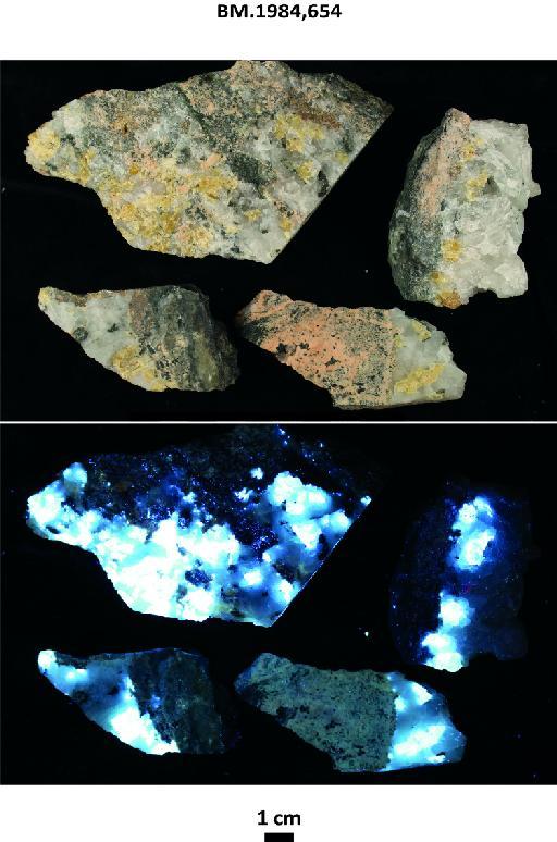 Ore specimens, yellowish crystalline scheelite disseminated in white quartz on pinkish matrix - BM.1984,654 photographs