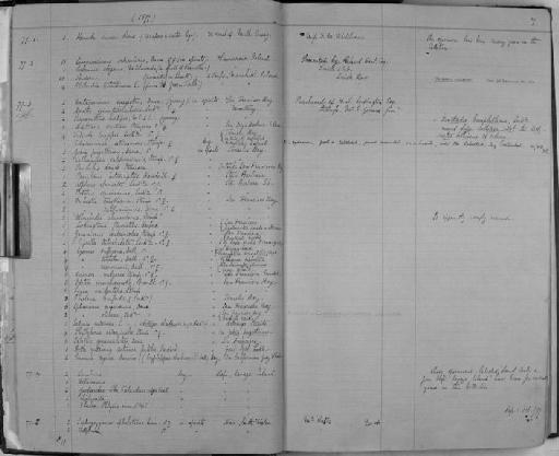 Orchestia traskiana parvorder Talitridira epifamily Talitroidae Stimpson, 1857 - Zoology Accessions Register: Crustacea: 1876 - 1905: page 7