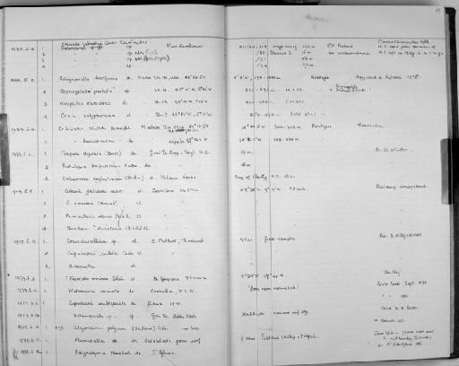 Notoplites damicornis Hayward & Ryland, 1978 - Zoology Accessions Register: Bryozoa: 1971 - 1986: page 75