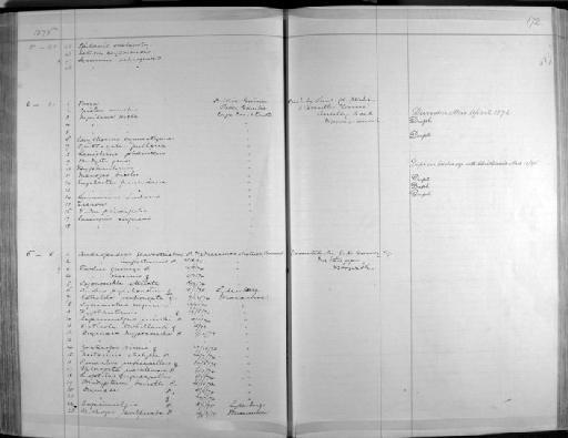 Nectarinia chalybeus subalaris - Zoology Accessions Register: Aves (Skins): 1874 -1880: page 172