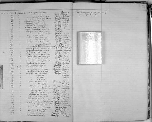 Cepedea floridensis higher taxon Opalinid Metcalf - Zoology Accessions Register: Spongiida: 1918 - 1928: page 36