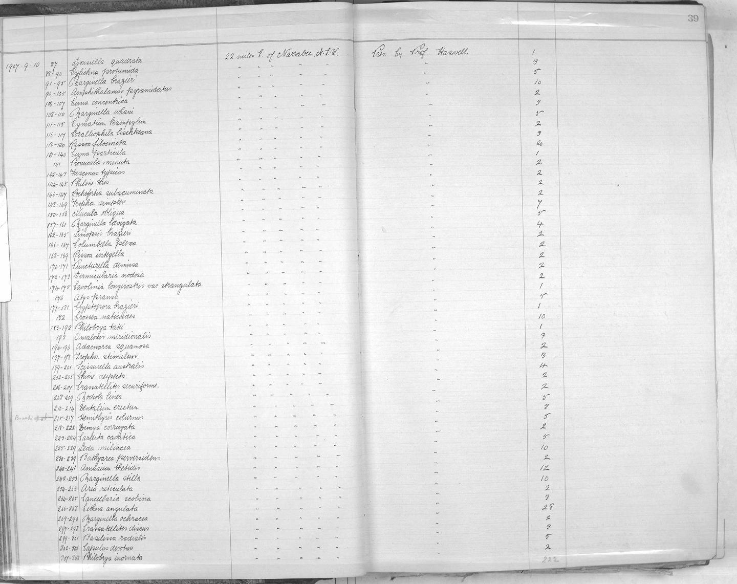 Zoology Accessions Register: Mollusca: 1906 - 1911: page 39