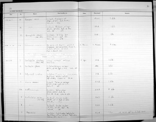 Heterophyidae - Zoology Accessions Register: Platyhelminth: 1993: page 14