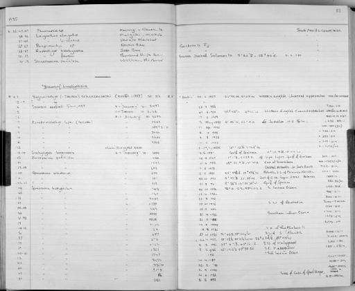 Sagamichthys schnakenbecki Krefft, 1953 - Zoology Accessions Register: Fishes: 1986 - 1994: page 53