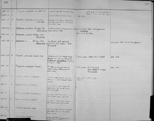 Epileucon pusillus Bishop, 1981 - Zoology Accessions Register: Crustacea: 1976 - 1984: page 123