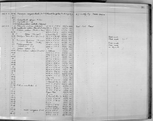 Poliometra prolixa (Sladen, 1881) - Zoology Accessions Register: Echinodermata: 1935 - 1984: page 38