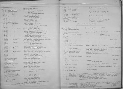 Aplocheilichthys sp.nov 1 Meinema & Huber - Zoology Accessions Register: Fishes: 1971 - 1985: page 86