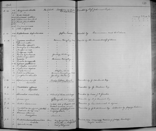 Paralichthys dentatus (Linnaeus, 1766) - Zoology Accessions Register: Fishes: 1912 - 1936: page 139