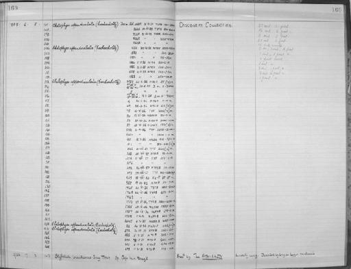 Stylatula brasiliensis (Gray, 1870) - Zoology Accessions Register: Coelenterata: 1951 - 1958: page 160