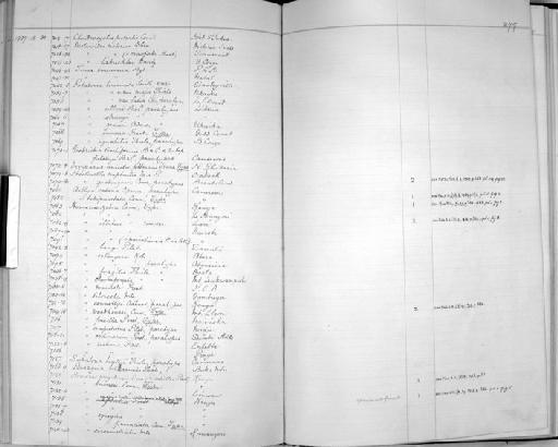 Succinea catena Spence, 1925 - Zoology Accessions Register: Mollusca: 1925 - 1937: page 277