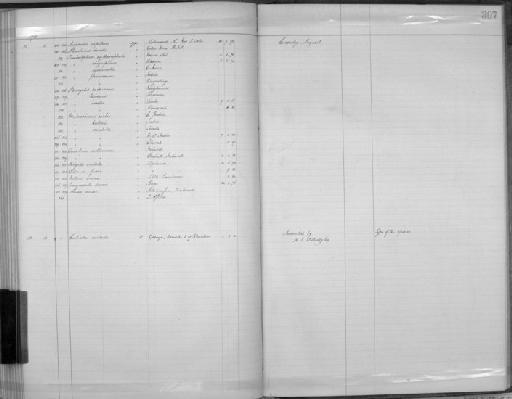 Cisticola aridula Witherby, 1900 - Zoology Accessions Register: Aves (Skins): 1900 -1902: page 307