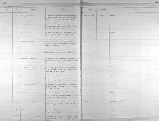 Derogenes varicus (Müller, 1784) Looss, 1901 - Zoology Accessions Register: Platyhelminth: 1987 - 1993: page 37