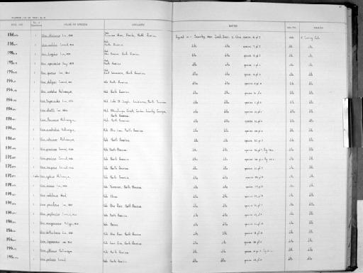 Unio apiculatus subterclass Palaeoheterodonta Say, 1829 - Zoology Accessions Register: Mollusca: 1962 - 1969: page 97