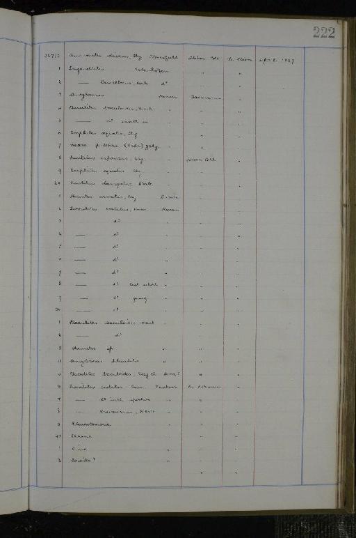 Cervus porcinus von Zimmermann, 1777 - NHM-UK_P_DF118_02_02_0445