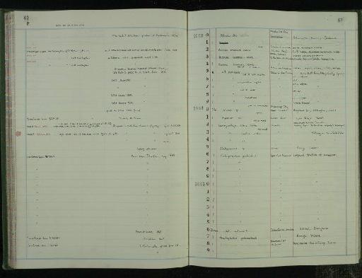 Alopias crochardi Ward, 1978 - NHM-UK_P_DF118_03_19_0135