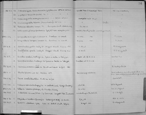 Conopeum reticulum - Zoology Accessions Register: Bryozoa: 1950 - 1970: page 34